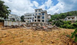 茂名违建最新爆料信息网,揭秘城市乱象背后的真相