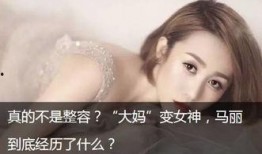 娱乐圈爆料下载,揭秘明星背后的故事与真相