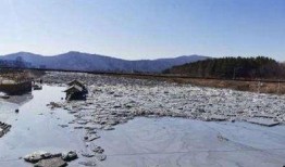 最新的爆料伊春矿库,揭秘事故真相与救援进展